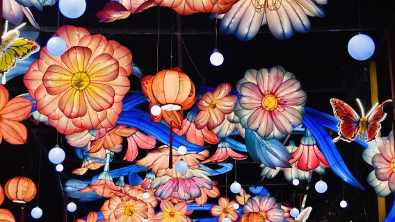 Halve dagtocht Nanjing Confuciustempel: Qinhuai boottocht · Examencultuur (Privé groepsreis)
