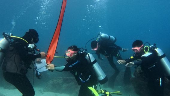 Selam skuba di Pulau Liuqiu: Pengalaman selam skuba satu lawan satu tanpa sijil/selam skuba pelancongan/kursus selam skuba