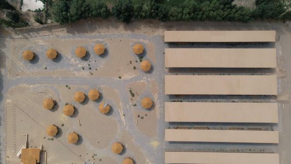 DUNHUANG CAMEL CAMP leisure experience – Camel camp visit + summer drinks