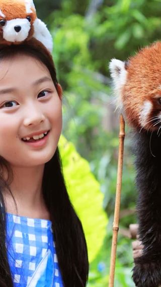 Complimentary sightseeing bus | One-day tour of Pu'er Sun River Forest Park + Coffee Plantation (Group/Independent)