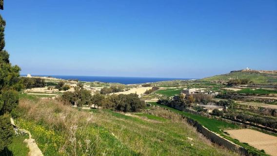 Gozo: Family Winery Estate Tour with Wine Tasting
