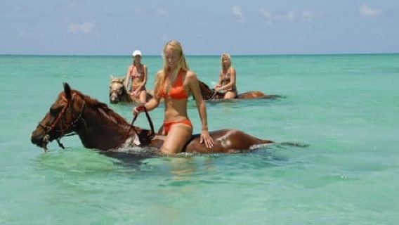 Grand Cayman Ride 'n' Swim
