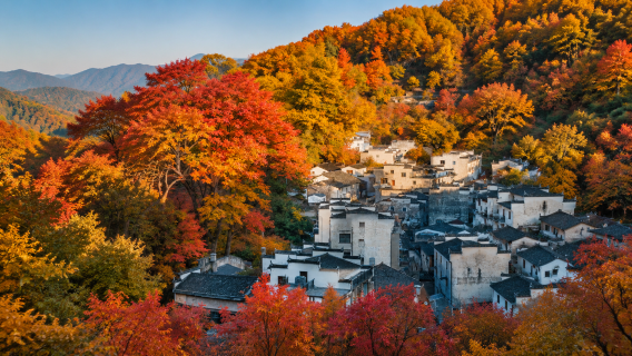 Wuyuan private 1-day tour (departing from Shangrao)