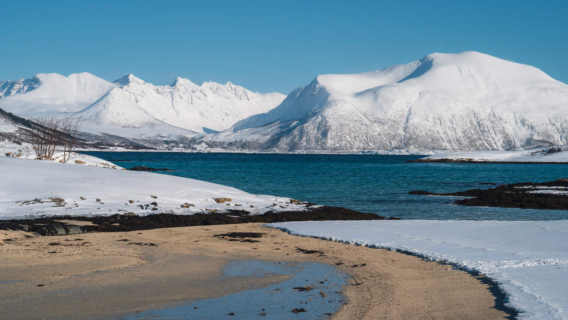 Tromsø rundtur: Sommarøy øen "øen uden tid" ~ fjordtur | inklusive snacks