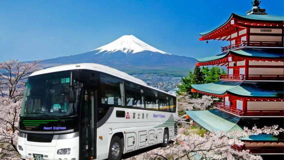 Japanese bus ticket: Shibuya-Ikebukuro-Akihabara to Fuji-Q Highland (Mt. Fuji, Kawaguchiko) express bus e-ticket. E-ticket verification for boarding; no ticket exchange required.