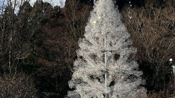 Resa från och till Hakone | Owakudani + Ashinoko + Hakone Open-Air Museum [Dagstur i Japan med hemhämtning·privatbil med kinesisk talande chaufför·anpassningsbar resplan]