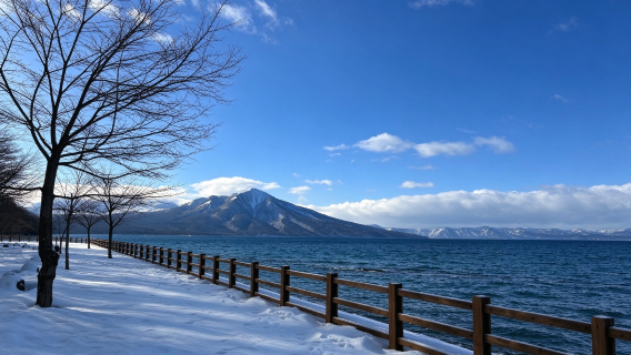 Sapporo pergi-balik | Makomanai Takino · Lake Shikotsu · Kilang Bir Kirin, lawatan sehari sewaan peribadi