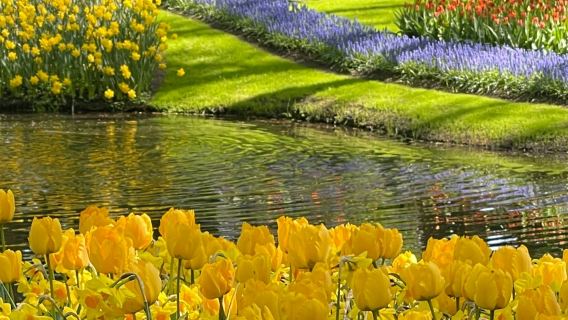 Keukenhof & Zaanse Schans: Guided Tour from Amsterdam