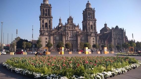 Mexico CityTours