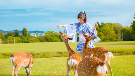 KyotoTours