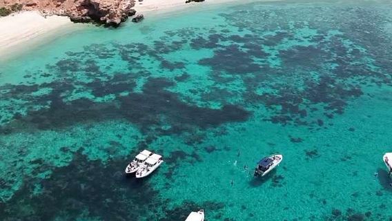 Excursion d'une journée à l'île de Daymaniyat à Oman : observation des dauphins et plongée avec tuba avec transferts
