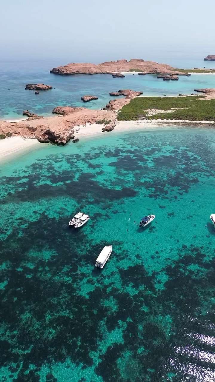 Tour di un giorno ad Oman per avvistare delfini + snorkeling all'isola Daymaniyat con trasferimento incluso