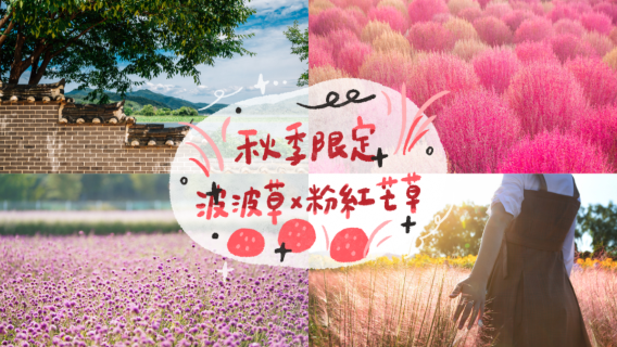 YangjuTours