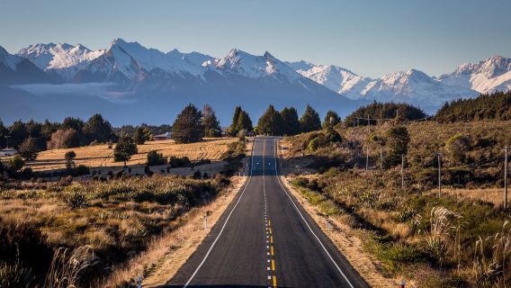 Milford Sound / Piopiotahi sightseeing bus 1-day tour: Round-trip bus from Queenstown + Milford Sound / Piopiotahi cruise - A must-visit spot in New Zealand's South Island