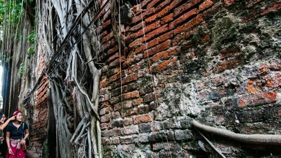 ไชน่าทาวน์ กรุงเทพฯ: ทัวร์เดินชมเมืองแบบส่วนตัว + อาหารและเครื่องดื่ม