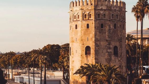 Nasrid Palaces, Alhambra, Courtyard of the Lions, and Plaza de San Nicolas one-day tour