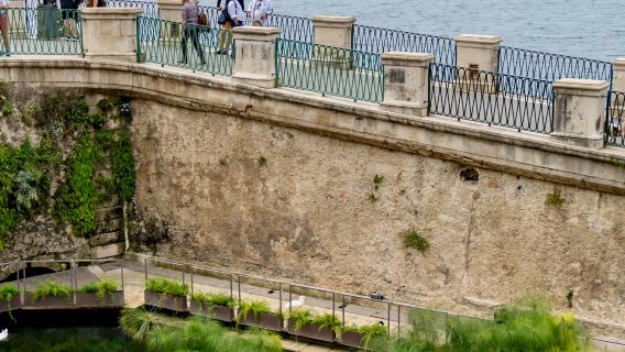 Siracusa, Ortigia e Noto: gita guidata di un giorno da Catania