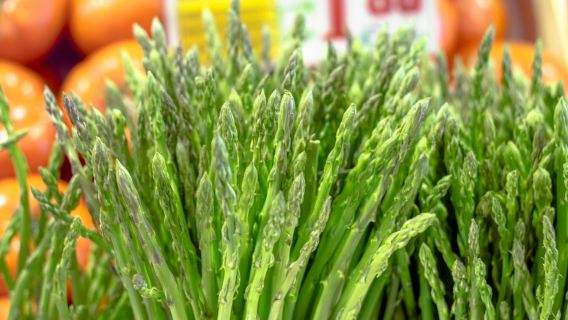 Siviglia: tour gastronomico mattutino guidato