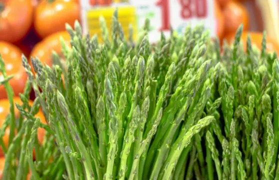 塞維利亞：早晨美食導賞團