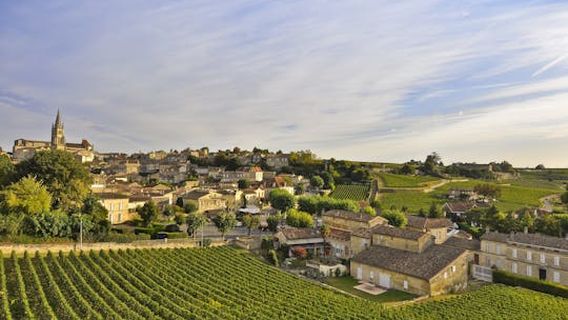 BordeauxExperiences