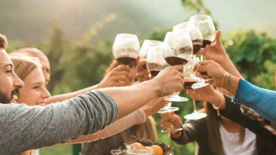 San Francisco Yountville + Sausalito + Napa Valley Winery Tasting one-day tour