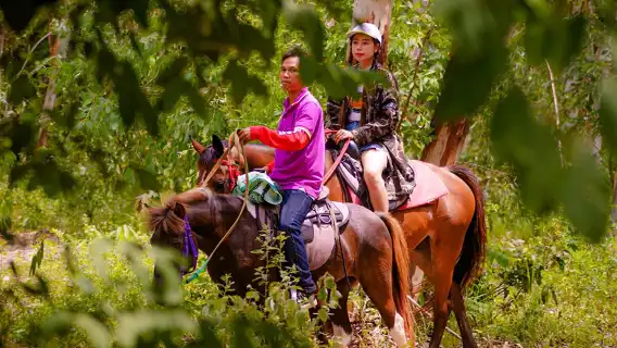 ช้างไทยทัพพระยาซาฟารี พัทยา ประเทศไทย [ขี่ช้าง/ ซิปไลน์/ ยิงปืน/ขับรถ ATV ออฟโรด]