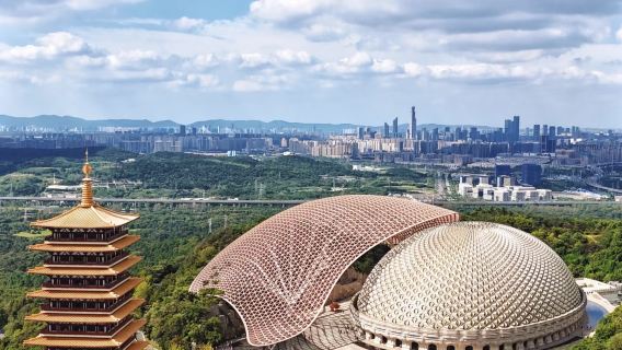 Confucius Temple + Qinhuai River + Laomendong + Dabaoen Temple + Zhanyuan one-day tour guide/ private charter G