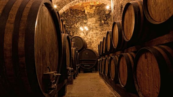 Porto: Guided Walking Tour + Lunch + Wine Tasting + Boat Ride