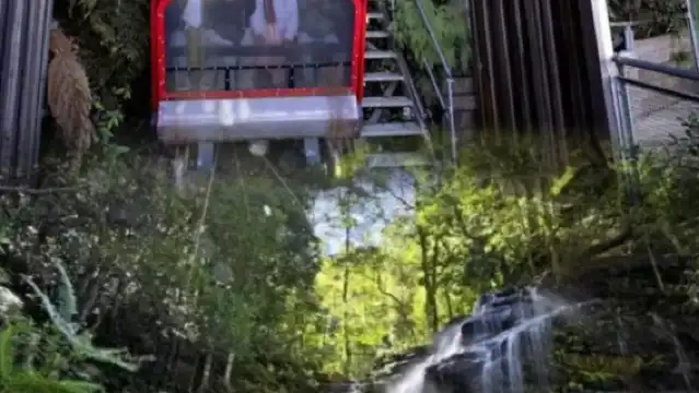 澳洲悉尼藍山包車一日遊【行程可調/可定制/中文】