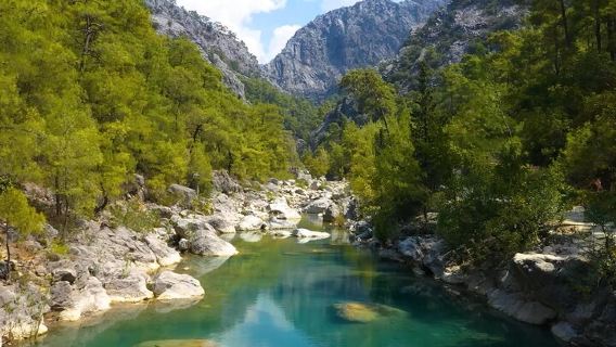 Ortahisar BelediyesiTours