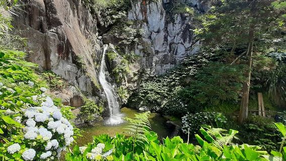 Sao Miguel