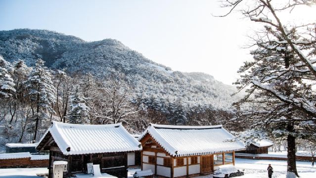 挪威·特羅姆瑟+塞尼亞島Senja暢遊【包車/跟團可選】