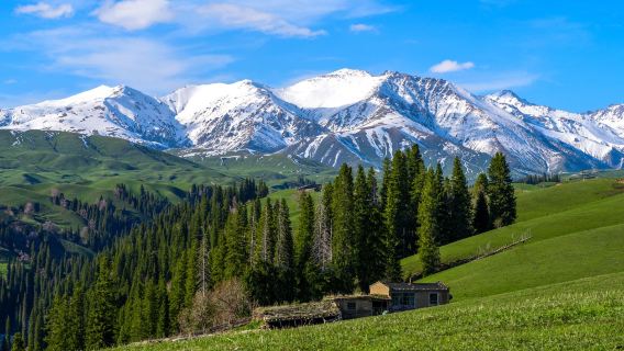 新疆伊犁喀拉峻草原一日輕徒步，夏季花海