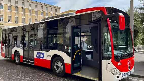 NaplesTravel Services