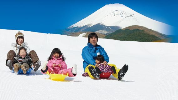 ประสบการณ์เล่นหิมะที่ภูเขาไฟฟูจิ, เรือโจรสลัดฮาโกเน่, โกเทมบะ พรีเมียม เอ้าท์เล็ตส์, ปิ้งย่างเนื้อญี่ปุ่นแบบบุฟเฟ่ต์