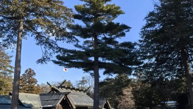 日本札幌市區浪漫風情體驗/可小樽登別富良野北海道多日包車精選
