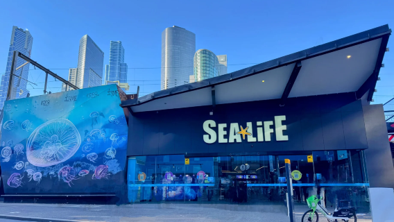 澳洲墨爾本市區一日遊水族館＋維多利亞藝術館＋聖保羅大教堂