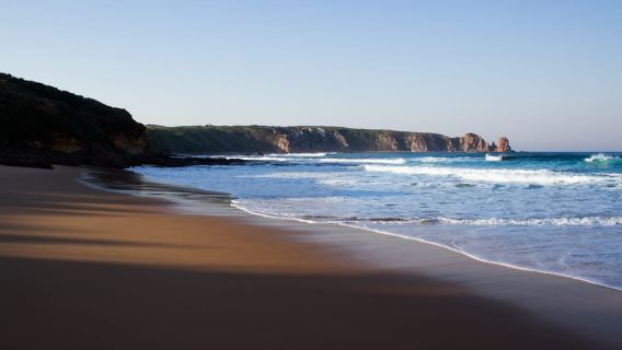 Phillip Island: Hike and Penguin Parade - 8 pax Small Tour