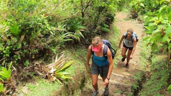 Roseau: Boiling Lake Challenge Hiking Tour with Local Guide