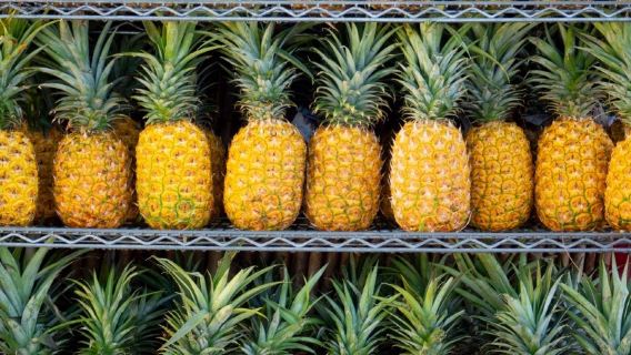 Commander après consultation/Service de voiture privée pour l'île d'Oahu, l'île d'Hawaï, Honolulu, l'île de Maui, la plage de Waikiki/aéroport/transferts point à point/guide touristique et chauffeur/voyages et excursions