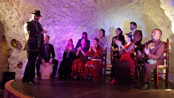 กรานาดา: การแสดงฟลาเมงโกที่ Templo del Flamenco พร้อมเครื่องดื่ม