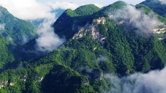 Тьяньмэнь, провинция Хубэй: индивидуальный трансфер/аренда автомобиля с водителем, услуги гида, переводчика, сопровождение, трансфер, туристические выставки, бизнес-инспекции, сопровождение на медицинские приемы