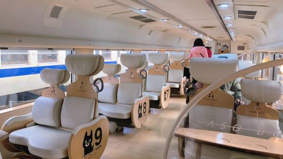 아소 보이 + 구마모토성 + 초천리 + 아소 화산의 장관을 탐험하는 당일 치기 여행