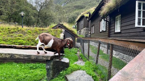 Stavanger: Månafossen Waterfall Hike with Traditional Meal