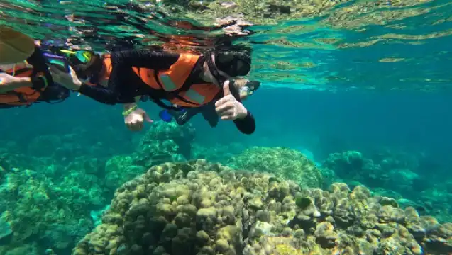Krabi Aonang: Koh Rok & Koh Haa Snorkelling Day Trip + Lunch