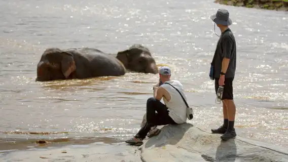 與大象同行 – 含造訪大象自然保護公園一日遊