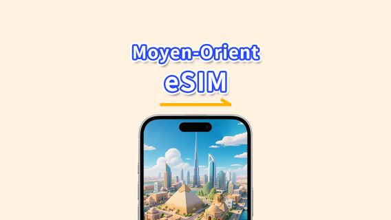 Plusieurs pays du Moyen-Orient eSIM | 5G/4G | Données à haute vitesse | 24 heures | 1-30 jours | Code QR