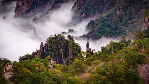 黃山風景區一日遊【 懸崖觀景×對話守松人×雲端下午茶可選】