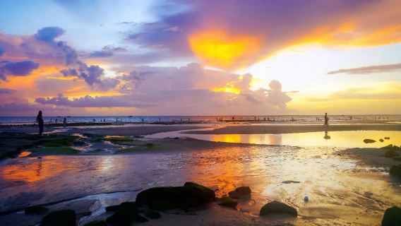 芽莊起訖/美奈一日遊獨立團/白沙紅沙丘仙女溪漁村/含接駁午餐