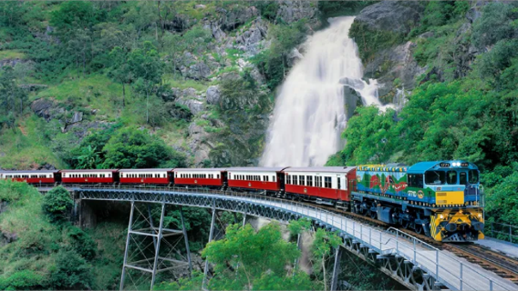 [단체 예약 가능, 공항 드롭오프 포함] 케언스 쿠란다 열대우림 중국어/영어 가이드 당일 치기 여행, 코알라 포옹 체험 추가 구매 가능